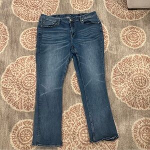 Vigoss jeans size 20